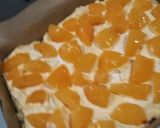 生のプラムを載せて焼いたバターケーキ作り方5写真