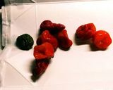 キャロライナリーパーを冷凍してみた作り方3写真