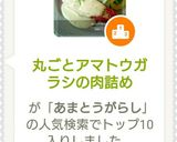 丸ごとアマトウガラシの肉詰め作り方14写真