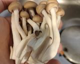 焼き茄子の生姜酢醤油和え作り方5写真