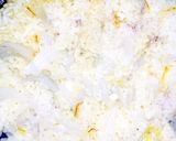 炊飯器で簡単！肉マニアの手羽元パエリア！作り方26写真