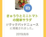 きゅうりとミニトマトの簡単サラダ作り方4写真