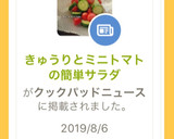 きゅうりとミニトマトの簡単サラダ作り方4写真