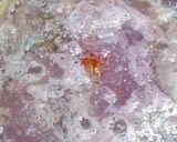 ステーキハンバーグ職人のボロネーゼソース作り方14写真