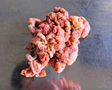 パクチーカレー作り方3写真