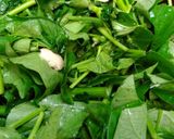 空心菜の中華風ペペロンチーノ炒め作り方4写真