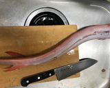 アカヤガラの刺身&塩焼き作り方2写真