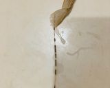 海老の背ワタをとる(覚え)作り方3写真