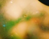 ヘルシー❀ぶりと焼豆腐の煮物作り方18写真