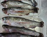 川魚の甘露煮 圧力鍋編作り方2写真