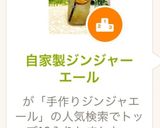 自家製ジンジャーエール作り方9写真