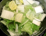 白菜の冷凍保存の方法作り方2写真