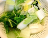 白菜の冷凍保存の方法作り方4写真