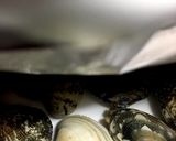 アサリとレモンのあっさりスパゲティ☆作り方2写真