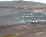 すだち香るさごしのきずし作り方1写真
