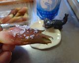 最速の珠洲のみょうがの塩サラダ作り方8写真