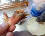 最速の珠洲のみょうがの塩サラダ作り方6写真