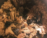 サバ缶とわかめの炊き込みごはん作り方3写真