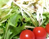 生姜焼きの付け合わせサラダ（備忘）作り方1写真