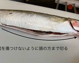 【基本】カマスの三枚おろし作り方7写真