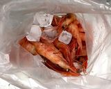 ★甘エビの刺身と頭のだし汁作り方1写真