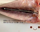 【基本】カマスの三枚おろし作り方9写真