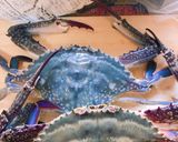 渡り蟹の季節到来♪蒸し煮で蒸し器要らず♡作り方2写真