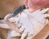 渡り蟹の季節到来♪蒸し煮で蒸し器要らず♡作り方3写真