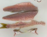 【基本】カマスの三枚おろし作り方21写真