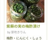 紫蘇の実の梅酢漬け作り方6写真