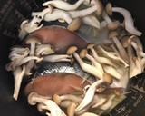 簡単♪鮭と生姜の炊き込み御飯作り方2写真