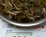 【応用】ごりの佃煮(生小魚の佃煮)作り方3写真