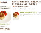 肉を使わず高野豆腐でハンバーグ作り方10写真