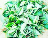 和風!つみたてお茶の葉の天ぷら♪作り方1写真