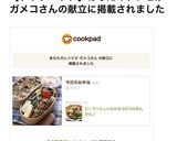 ピーマンとしいたけのコロコロきんぴら♪作り方8写真