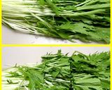 水菜と林檎のサラダ作り方1写真