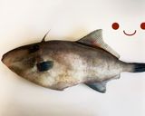【基本】カワハギのさばき方(お刺身まで)作り方1写真