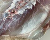 【基本】カワハギのさばき方(お刺身まで)作り方11写真