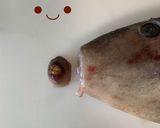 【基本】カワハギのさばき方(お刺身まで)作り方30写真