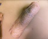 白いお揚げの柴漬け稲荷巻き作り方14写真