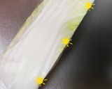 カットされてる白菜の保存方法(^^)作り方3写真