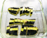 レンジだけ！なすの南蛮風作り方5写真