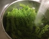 紫蘇の実塩つけ作り方1写真