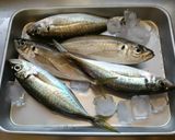 鯵の天ぷら作り方1写真