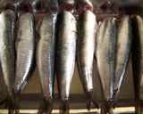 いわしの味噌煮作り方1写真