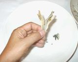 煮干しだし♪簡単水だし作り方4写真
