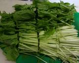 簡単おいしい☆水菜のからし和え☆作り方1写真