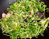 ツナと豆苗の卵とじ作り方4写真