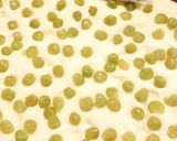 うぐいす豆の角食パン作り方3写真