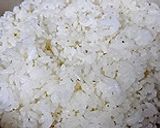 こんぶだしのだしパックで作る混ぜご飯作り方1写真